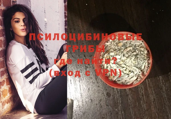 мдпв Ладушкин