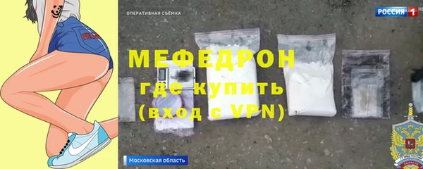 мдпв Ладушкин