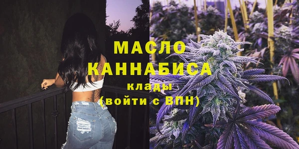 мдпв Ладушкин