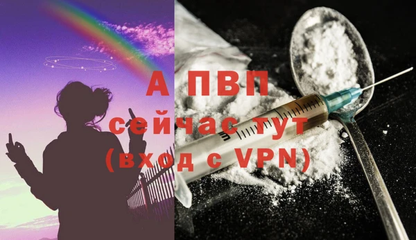 мдпв Ладушкин