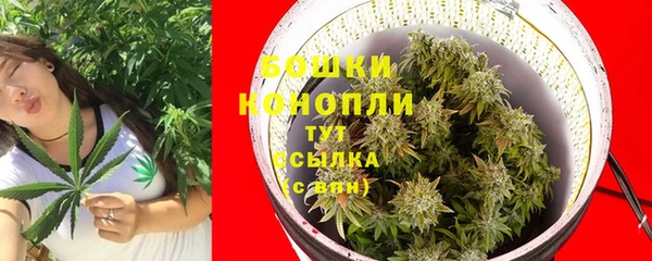 гидра Лабытнанги