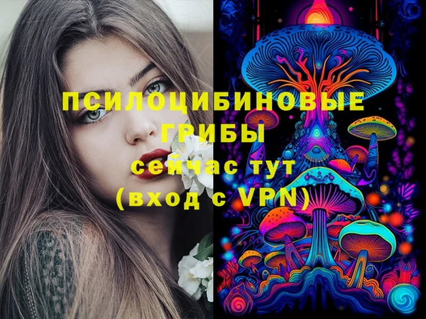 гидра Лабытнанги