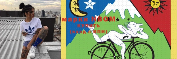 мдпв Ладушкин