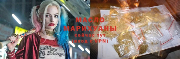 индика Кулебаки
